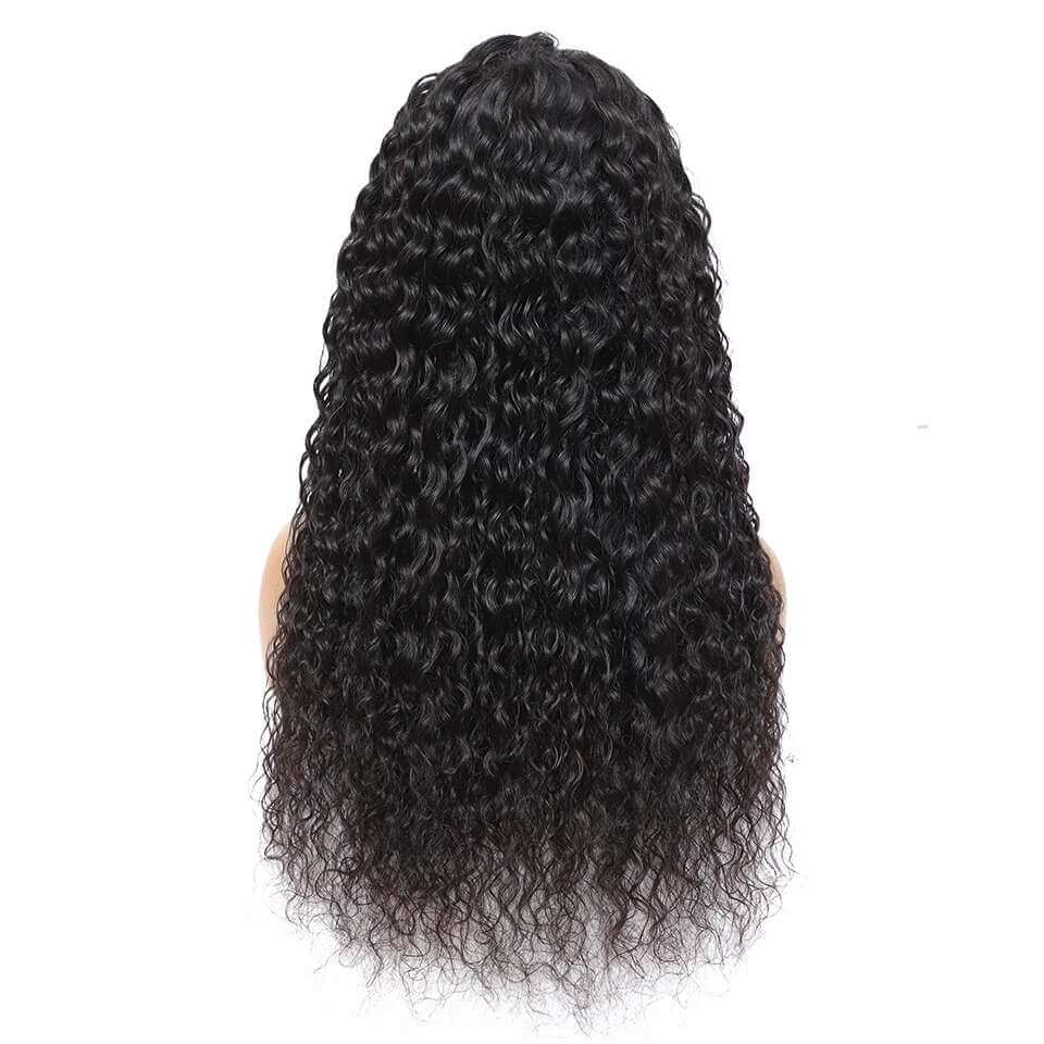 HD Lace 4x4 Water Wave Closure Wig | Premium Human Hair